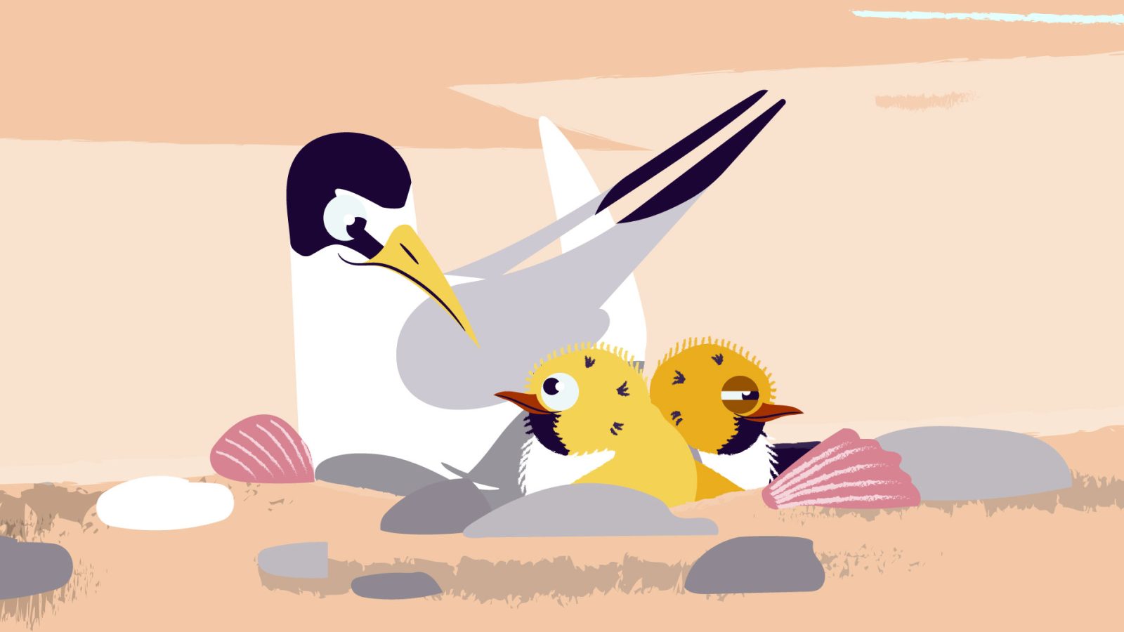 Little Terns